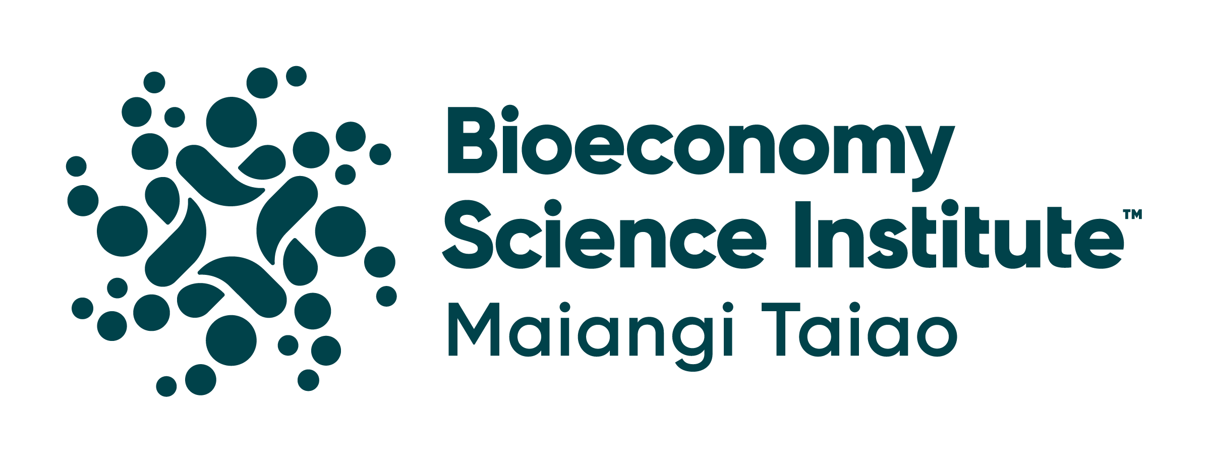 01 Primary BSI Ingoa Logo Slate RGB
