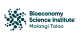 01 Primary BSI Ingoa Logo Slate RGB