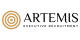 Artemis Executive Recruitment Logo